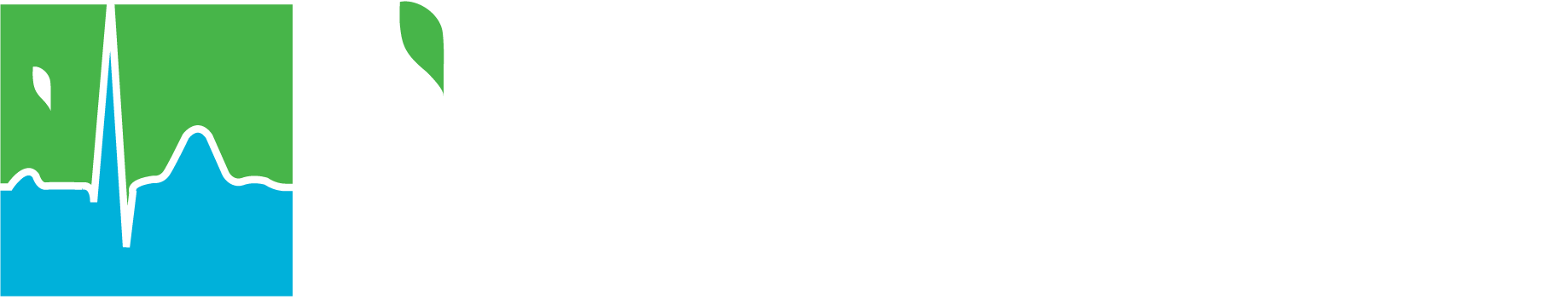 Iwosan Healthcare Systems
